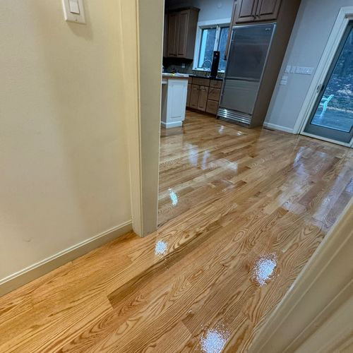 Floor Installation or Replacement