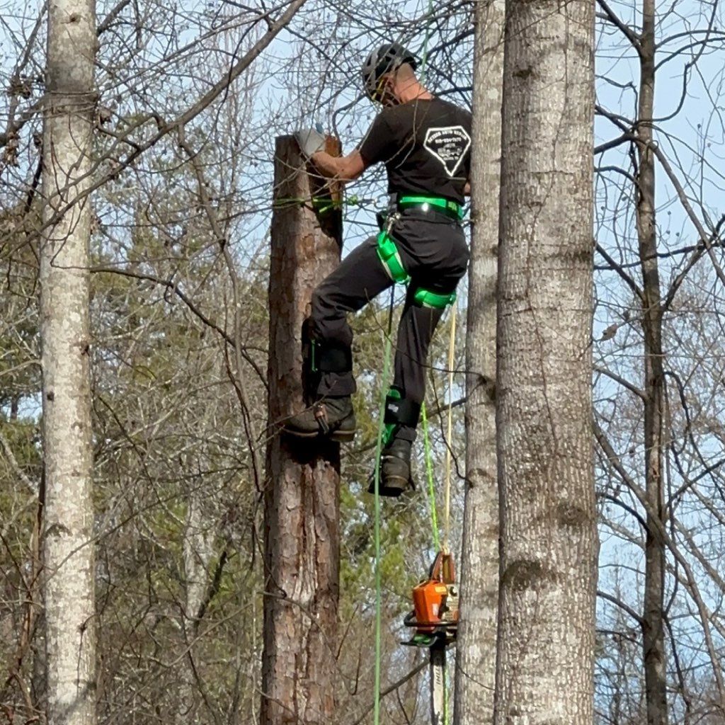 Ruben’s Lawn and Tree Service