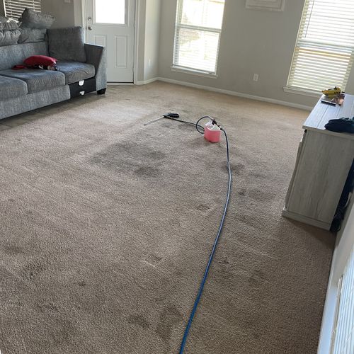 Carpet Cleaning