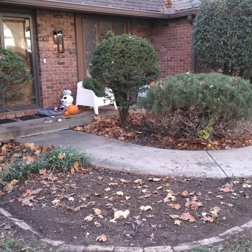 Shrub Trimming and Removal