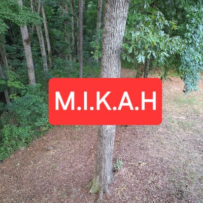 Avatar for M.I.K.A.H.