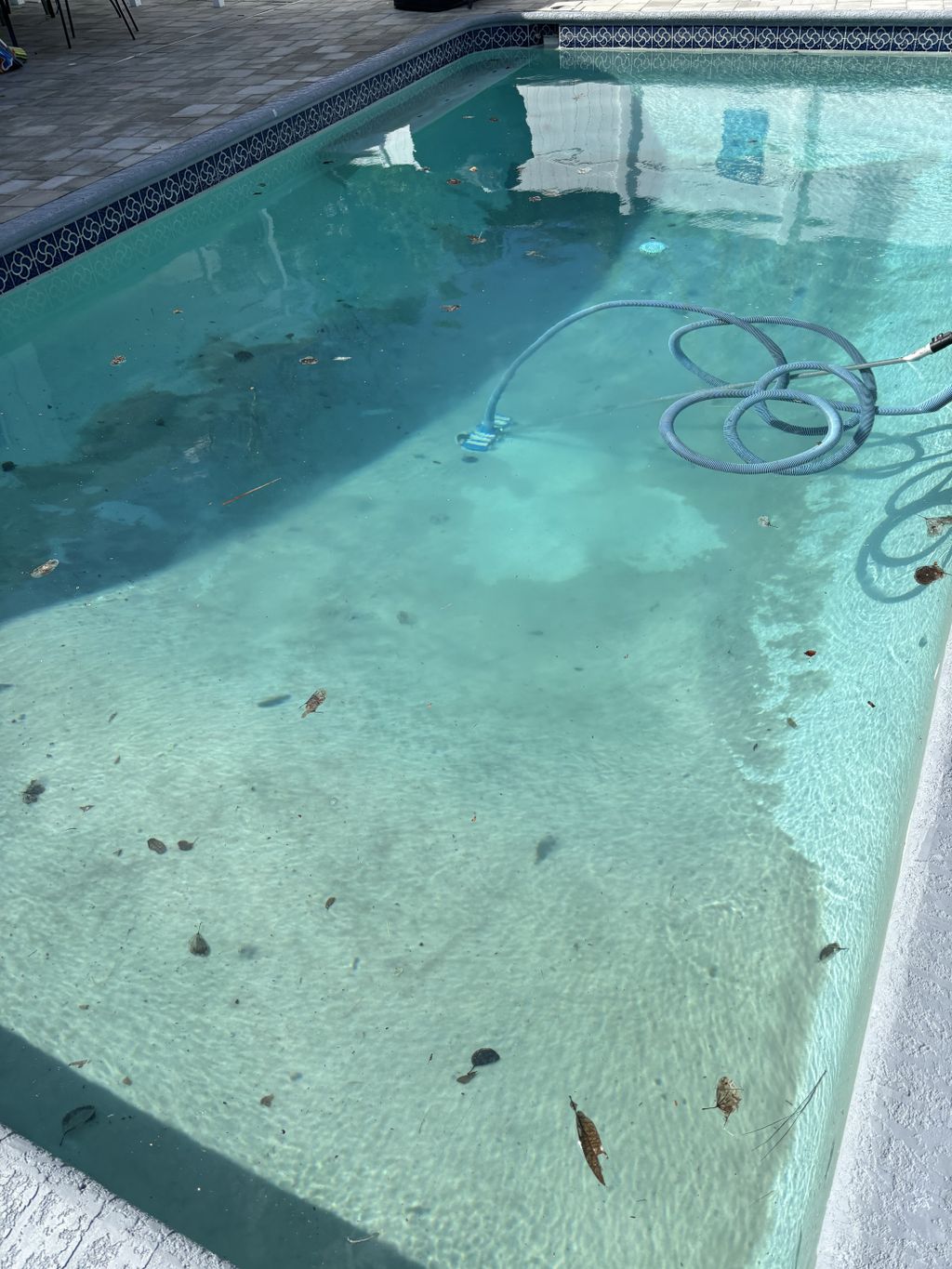 Swimming Pool Cleaning, Maintenance, and Inspection