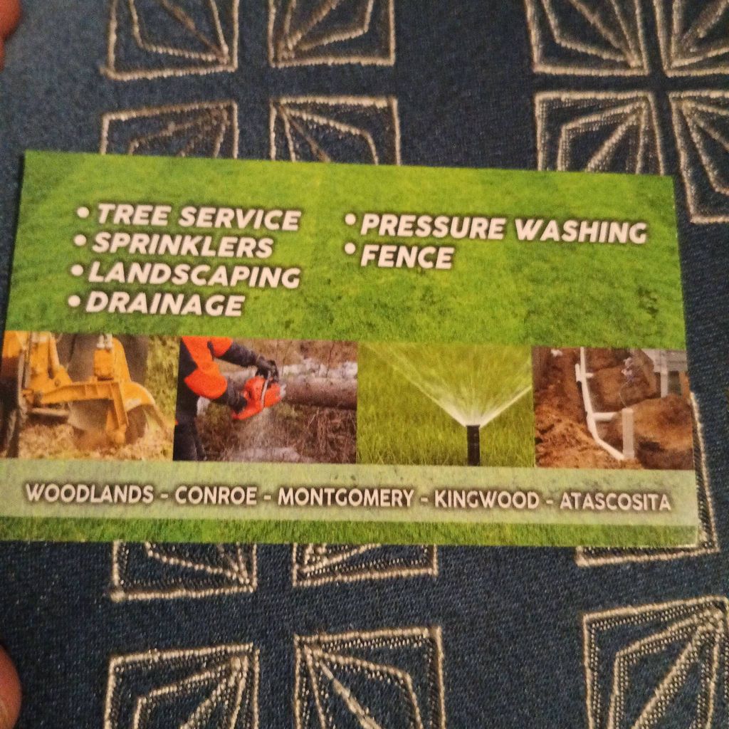 Mario Landscaping Services