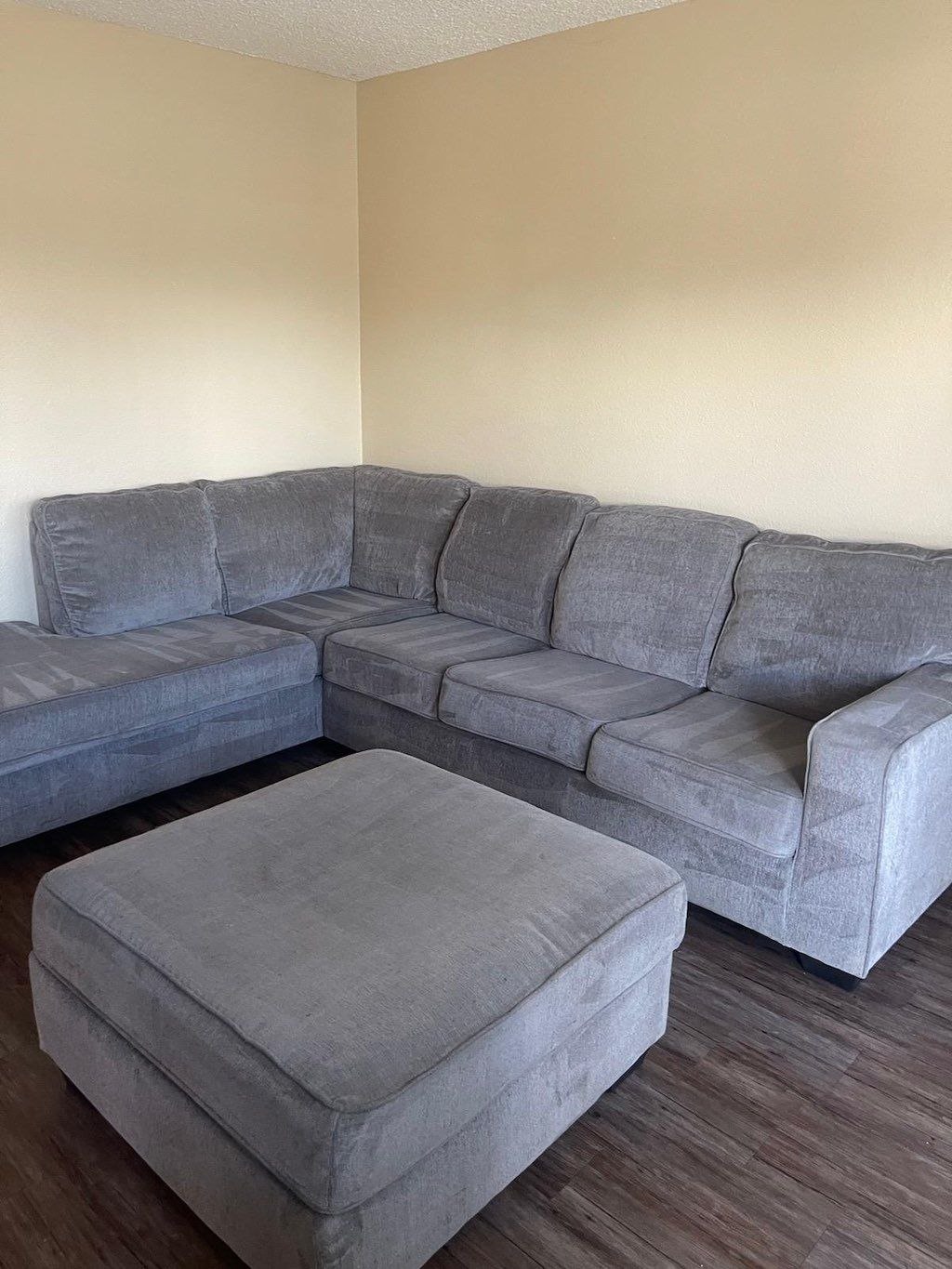 Sofa deep cleaned pet odor removal process 👌👃🏼✅