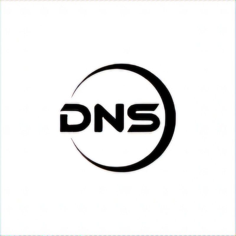 DNS LLC