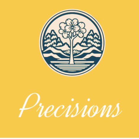 Precisions lawn care