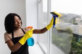 Window Cleaning