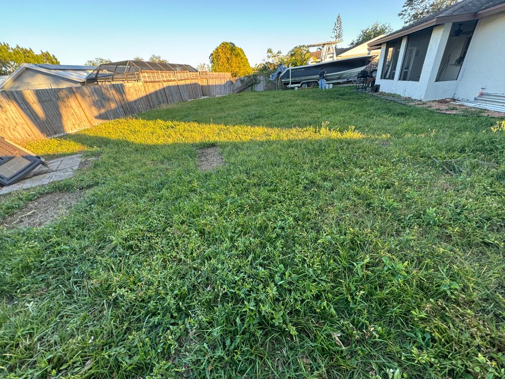 Lawn Mowing and Trimming