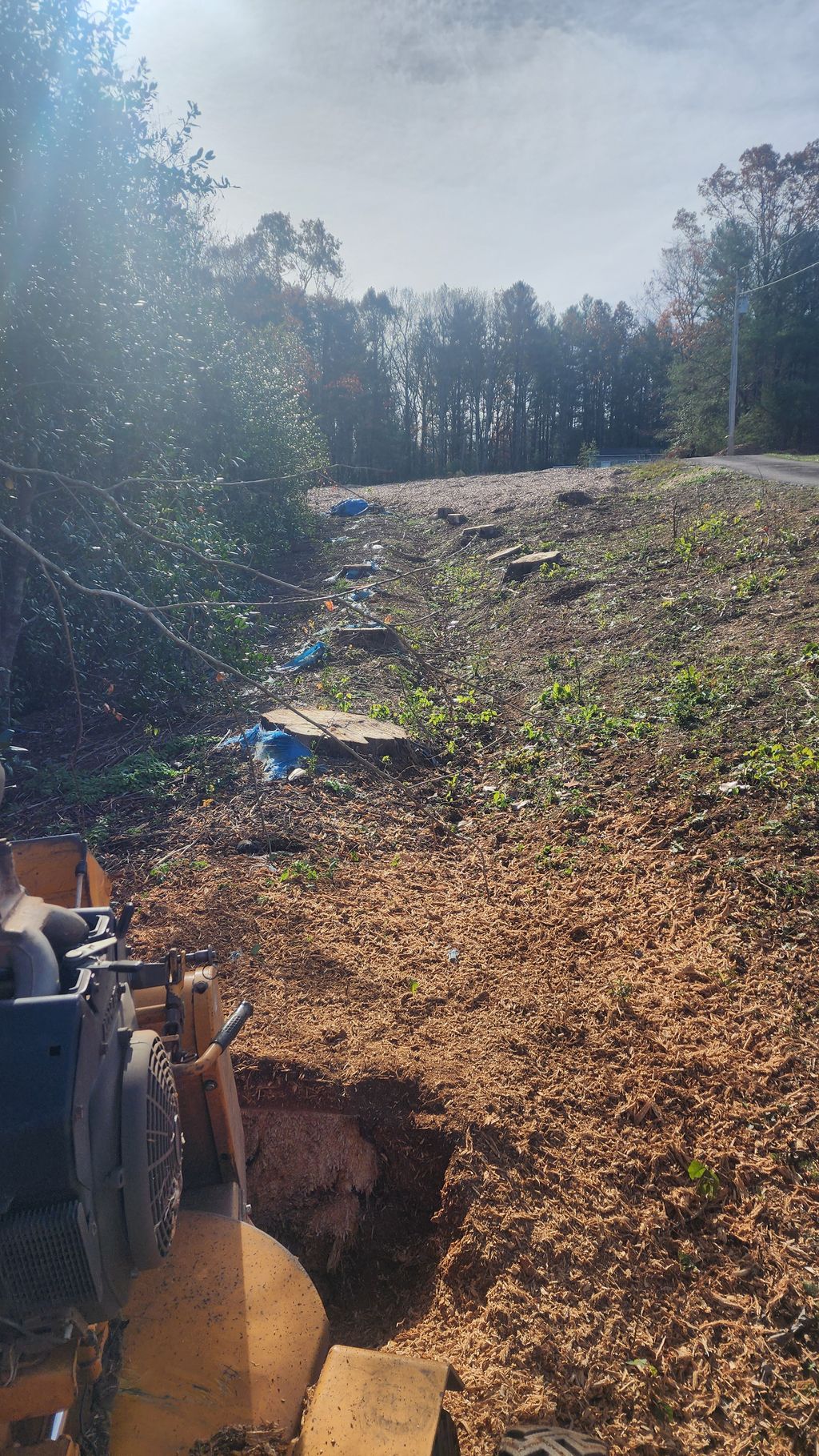 Tree Stump Grinding and Removal