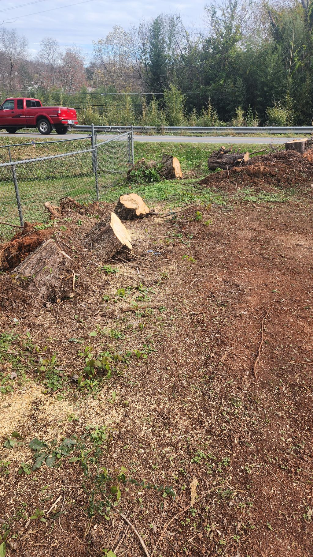 Tree Stump Grinding and Removal