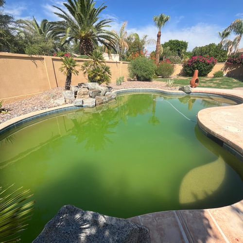 This algae infested, unsafe pool… 