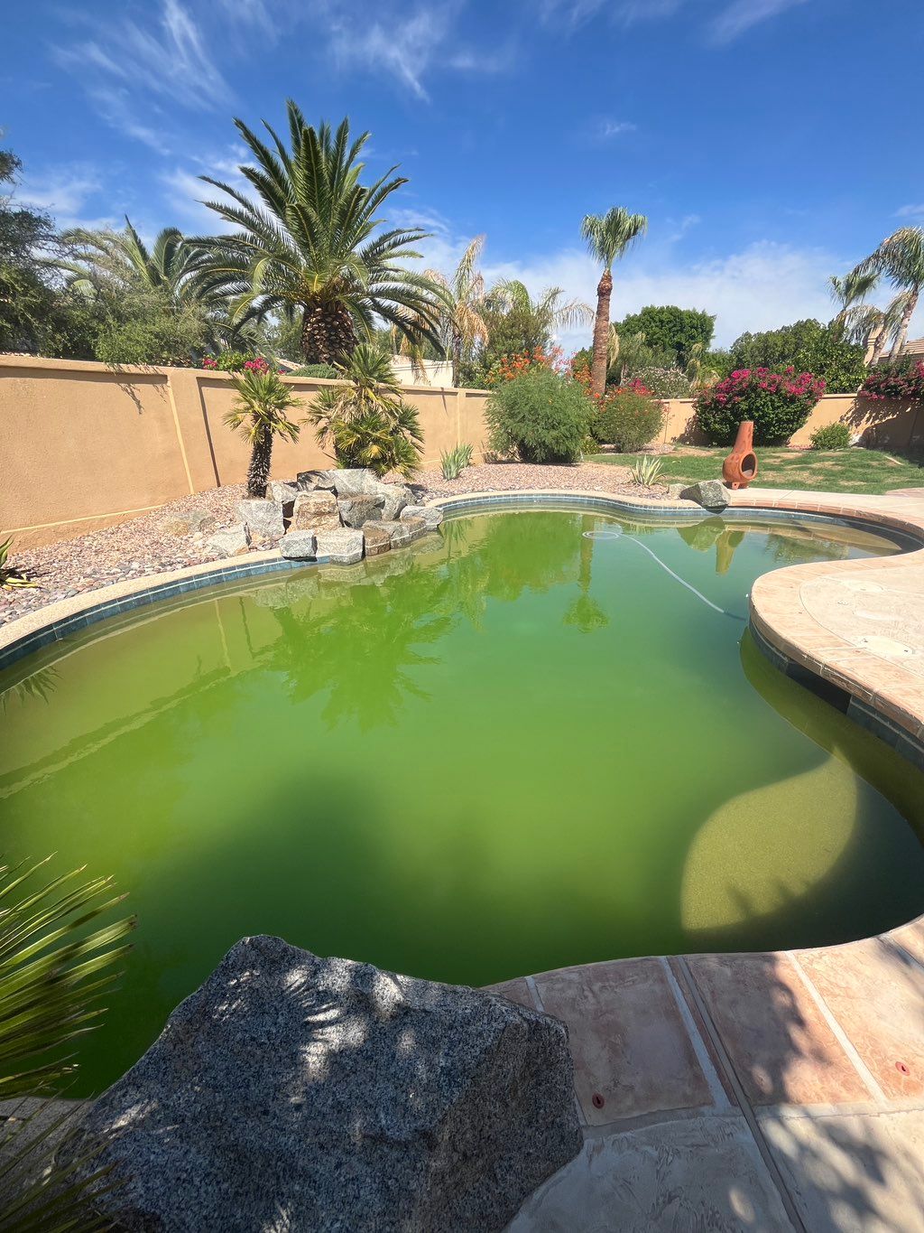 This algae infested, unsafe pool… 