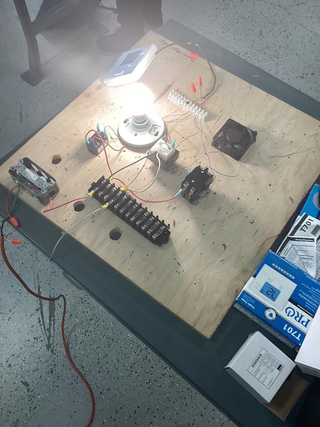 Projects and media
