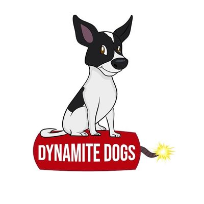 Avatar for Dynamite Dogs Training & Grooming