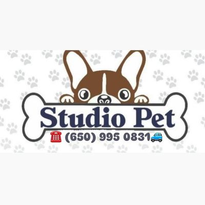 Avatar for STUDIO PET GROOMING