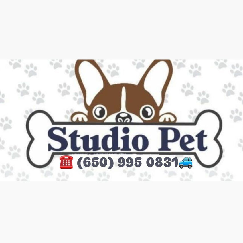 STUDIO PET GROOMING