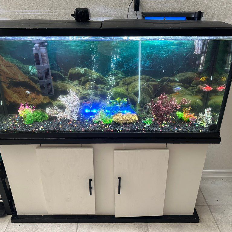 Thompson fish tank services