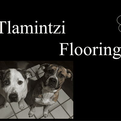 Avatar for Tlamintzi Flooring LLC