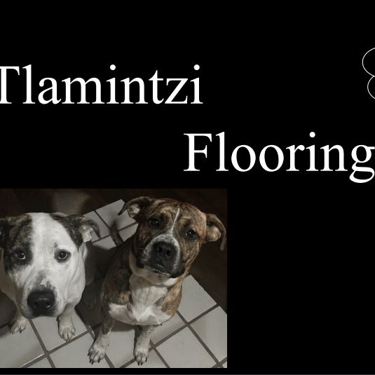 Tlamintzi Flooring LLC