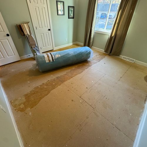 Floor Installation or Replacement