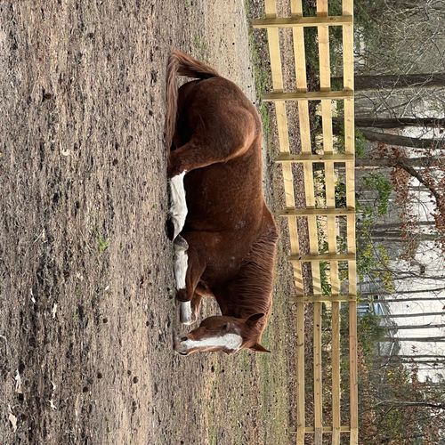 Phil did all my horse fencing when I moved to NC a