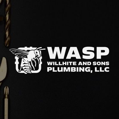 Avatar for Wasp leaks and drains