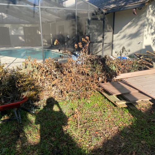 Backyard Fence and Yard Debris