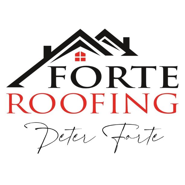 Forte Roofing