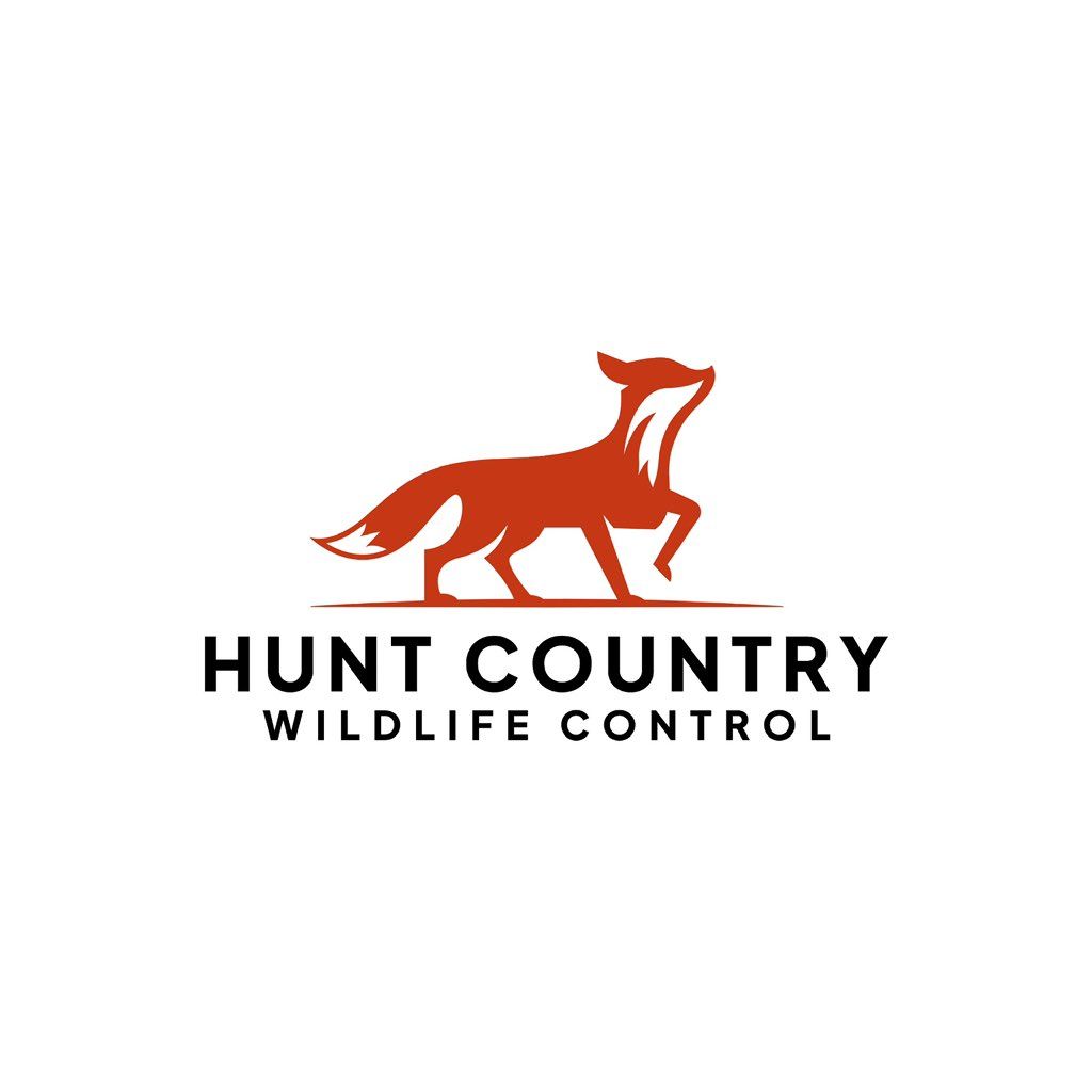 Hunt Country Wildlife Control