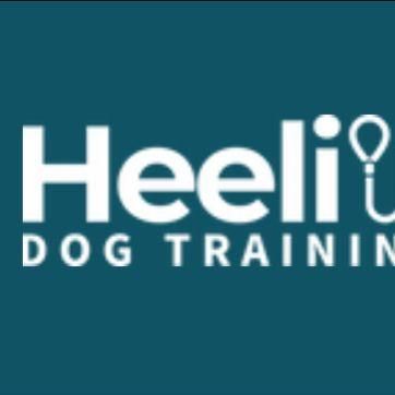 Avatar for Heeli Dog Training