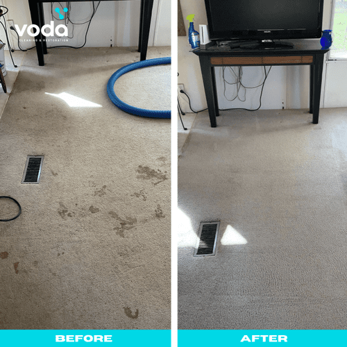 Carpet Cleaning