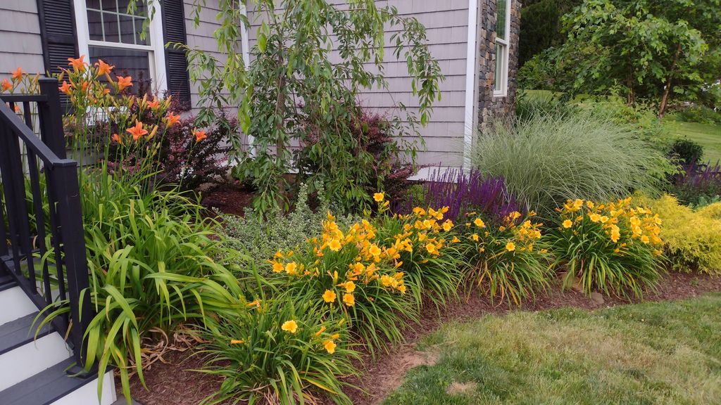 Plantings in beds around home