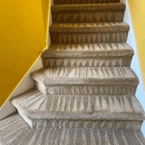 Carpet Cleaning