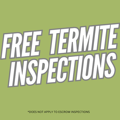 Termite Control Services