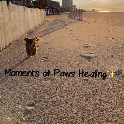 Avatar for Moments of Paws Healing