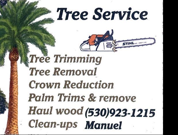 Tree Service