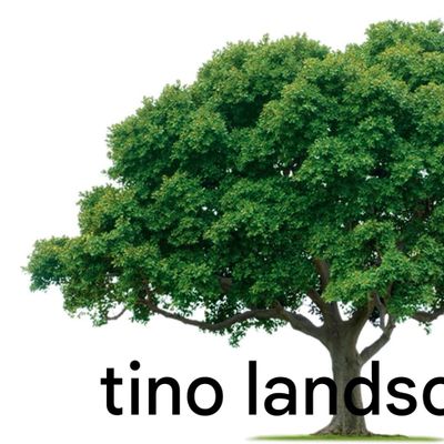 Avatar for tino landscape