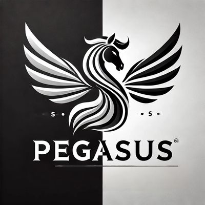 Avatar for Pegasus Air Duct and Vent cleaning