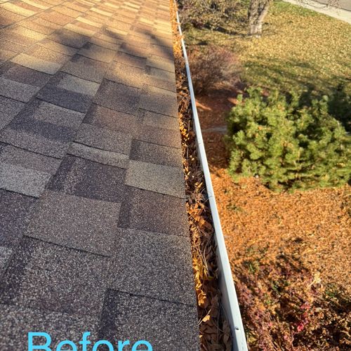 Gutter Cleaning and Maintenance