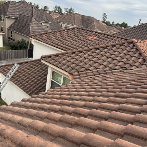 Roof Cleaning