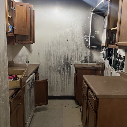 Mold Inspection and Removal