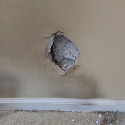 Drywall Repair and Texturing