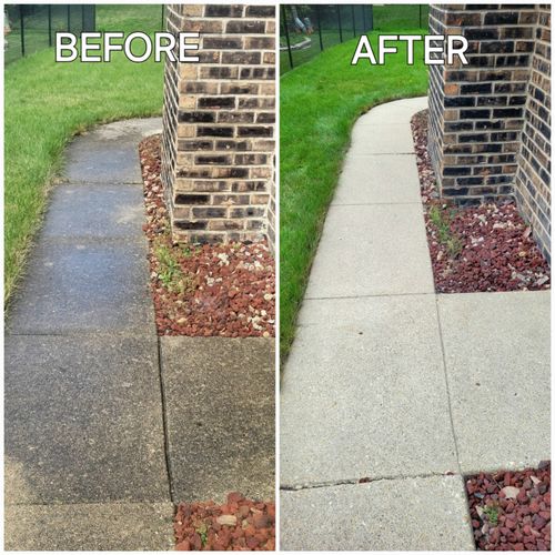 Arlington Heights - years of algae stains removed 