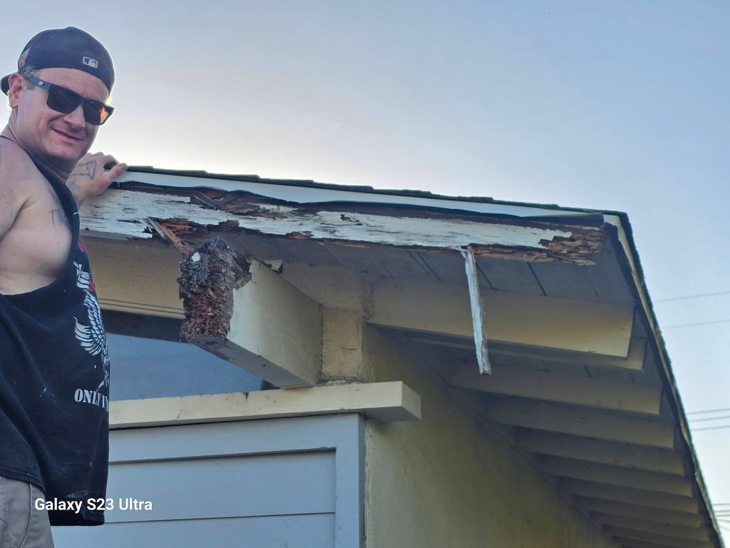 support beam termite damage and fascia removal