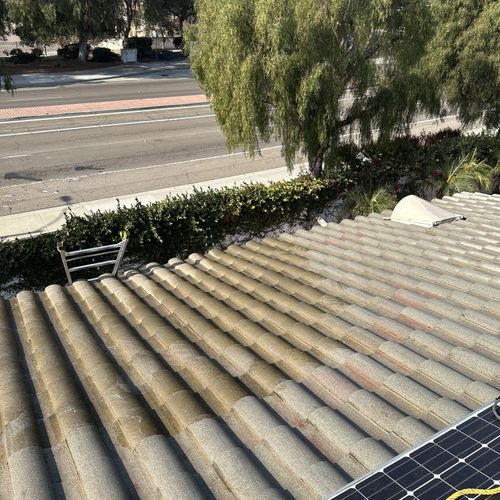 Roof Cleaning