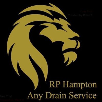 Avatar for RP Hampton / Any Drain Service