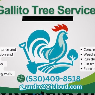 Avatar for Gallito Tree Service