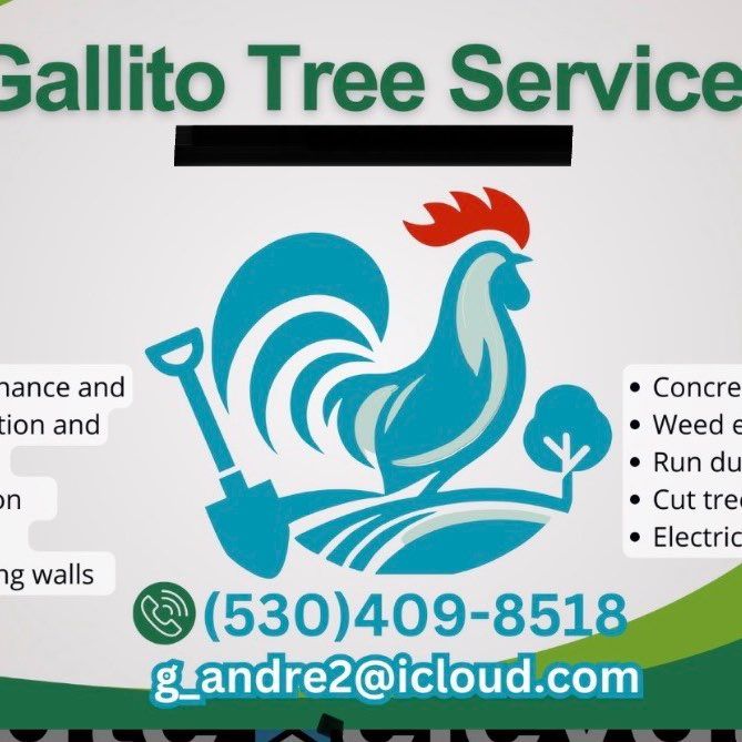 Gallito Tree Service