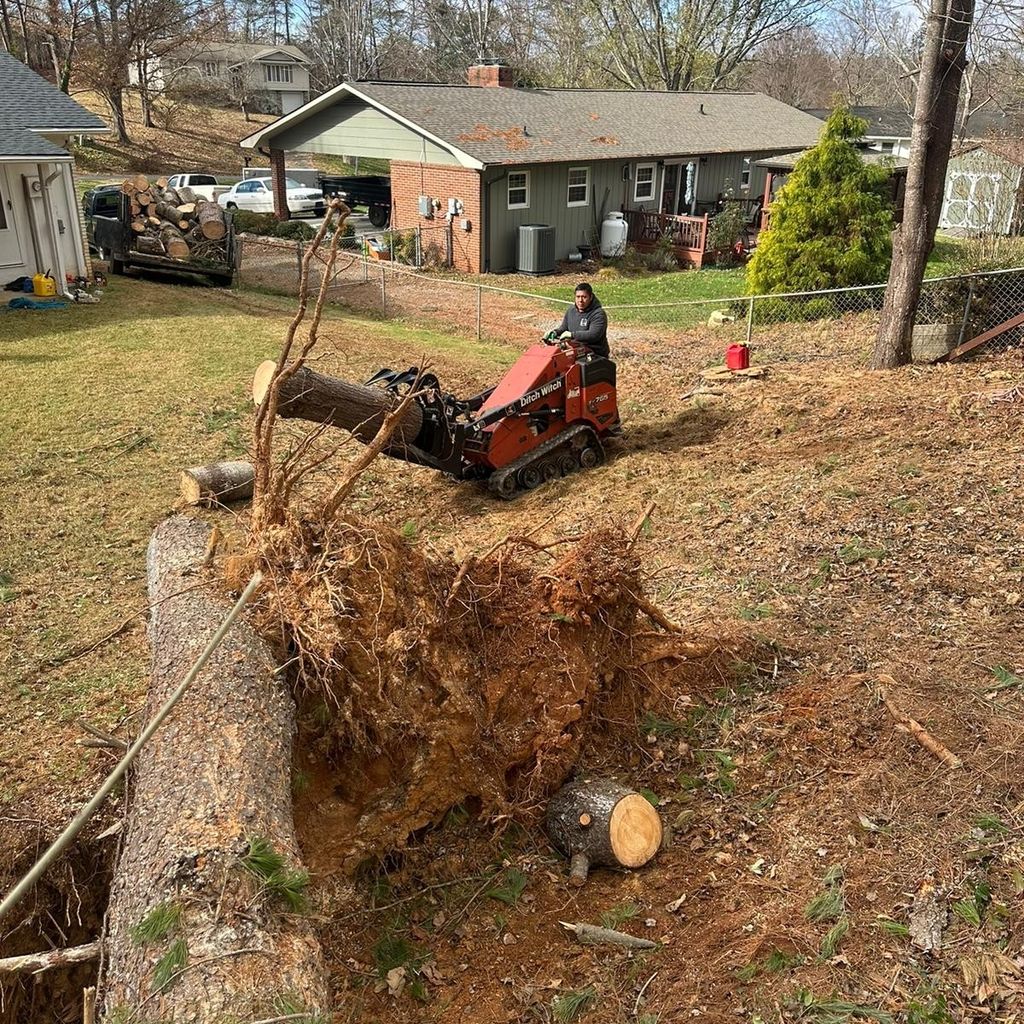 Mendez Tree Service & Grading LLC