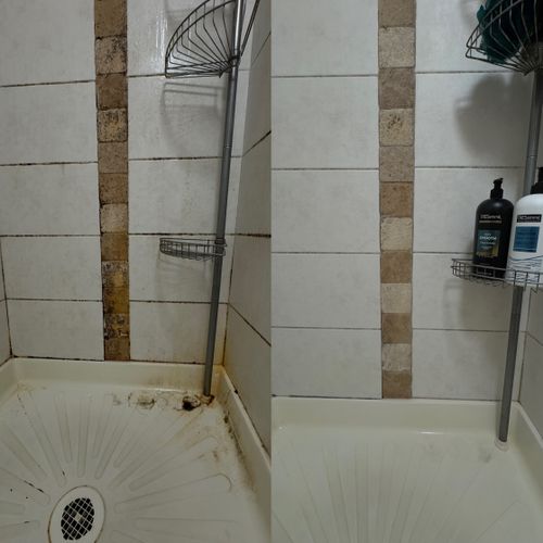 Tile and Grout Cleaning